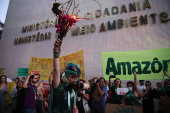 Manifestantes fazem protesto em defesa da Amaznia em Braslia