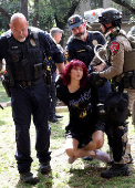 Law enforcement carry a pro-Palestinian protester at the University of Texas