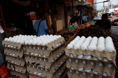 Chicken eggs are put on display, in Monterrey