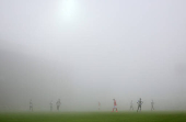 Primeira Liga - Nacional v Benfica