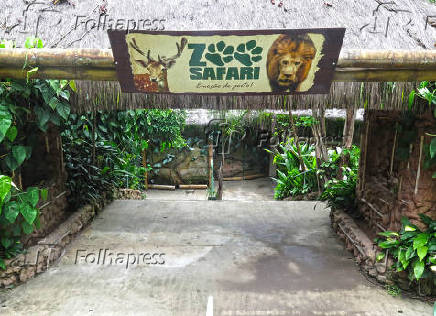 Zoo Safari - SP