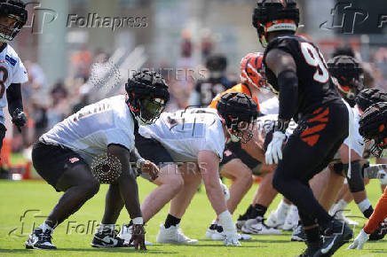 NFL: Cincinnati Bengals Training Camp