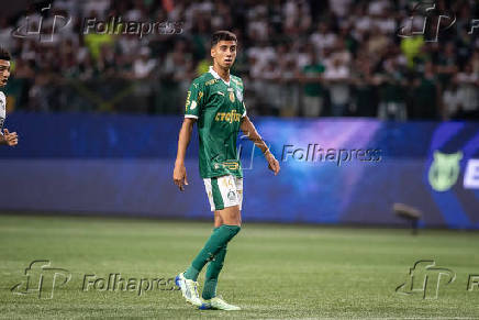 Palmeiras x Botafogo