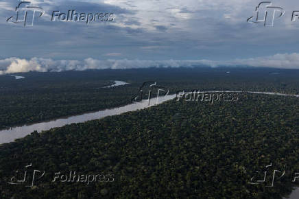 Vista area do rio Javari, em Atalaia do Norte