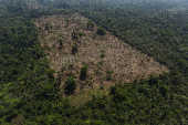 rea desmatada por grileiros dentro da Terra Indgena Trincheira Bacaj, em Altamira (PA)