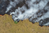 FILE PHOTO: Pictures of the Year: Fires in the Amazon: a barrier to climate change up in smoke