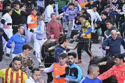 Arranca en San Sebastin de los Reyes la temporada de encierros taurinos en Espaa