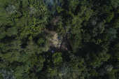 Garimpo ilegal na Floresta Estadual do Paru (FES do Paru)