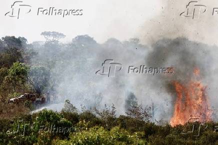 Incndio numa rea de mata perto do aeroporto de Braslia.