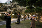 People take photos of plum blossoms at Chiang Kai-shek Memorial Hall in Taipei