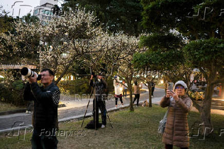 People take photos of plum blossoms at Chiang Kai-shek Memorial Hall in Taipei