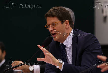 O ministro do Meio Ambiente, Ricardo Salles, durante audincia pblica na Cmara