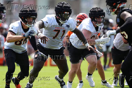 NFL: Cincinnati Bengals Training Camp