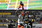 NFL: Cincinnati Bengals at Pittsburgh Steelers