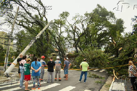 Forte chuva derrubou poste e rvore na zona leste de SP