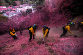 Wildfires in Los Angeles