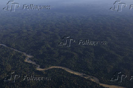 Amaznia, maior floresta tropical do mundo