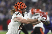 NFL: Cincinnati Bengals at Baltimore Ravens