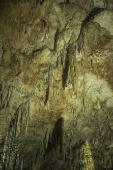 Espeleotemas da Caverna do Diabo - Parque Estadual de Jacupiranga