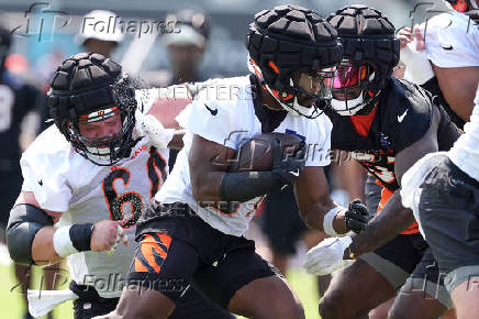 NFL: Cincinnati Bengals Training Camp