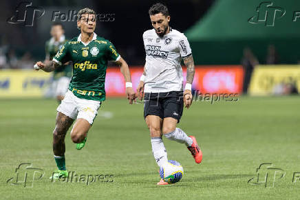 Palmeiras-Botafogo: Campeonato Brasileiro Serie A