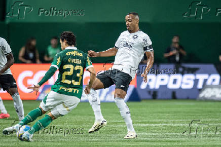 Partida entre palmeiras e botafogo pelo campeonato brasileiro de futebol 2024