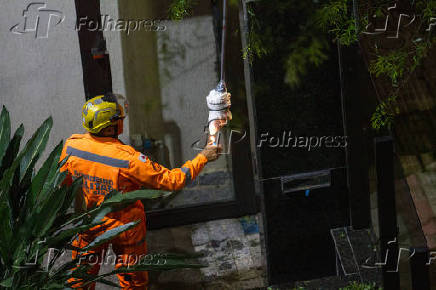 Bombeiros retiram caixa de marimbondo em BH