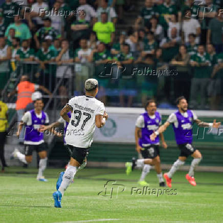 Palmeiras x Botafogo