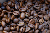 Arabica roasted coffee beans in a coffee roasting shop in Paris