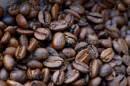 Arabica roasted coffee beans in a coffee roasting shop in Paris