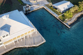 Manatees gather in the warm-water outflows of FPL power station at Manatee Lagoon in West Palm Beach