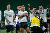 Partida entre palmeiras e botafogo pelo campeonato brasileiro de futebol 2024