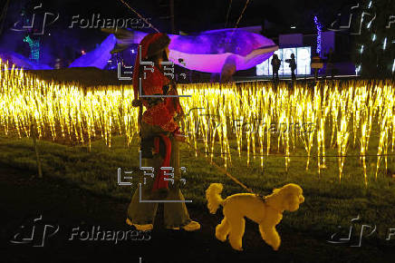 Bogot enciende la Navidad con el 'Festival de luces Brilla', alusivo al medio ambiente