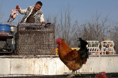 Market ahead of the Lunar New Year in Beijing