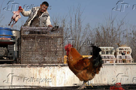 Market ahead of the Lunar New Year in Beijing