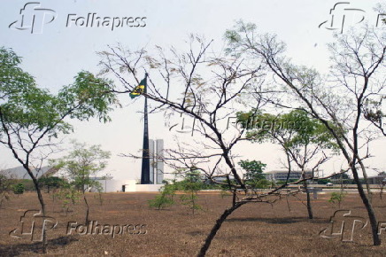 Bosque da Constituinte atrs da Praa