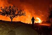 Wildfire burns next to the village of Kallithea, near Corinth