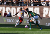 Red Bull Bragantino e Palmeiras