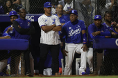 Liga Dominicana: Leones del Escogido - Tigres de Licey