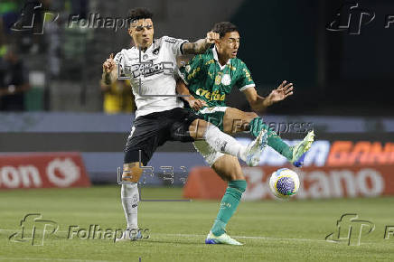 Brasileirao serie A: Palmeiras -Botafogo