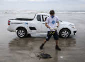 Tartaruga encontrada morta em Praia Grande, no litoral paulista