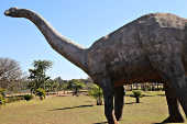 Vista do Museu dos Dinossauros, na cidade de Uberaba (MG)