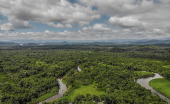 Vegetao na Reserva Guaricica, gerida pela SPVS