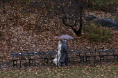 Rain in New York after city issued drought warning