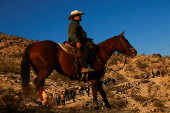 Pilgrimage during the Solemnity of Christ the King to pray for peace, at Mount Cristo Rey, on the border between the United States and Mexico