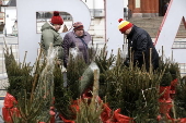 Christmas trees on sale in central Bialystok