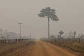 Especial queimadas, seca e clima seco no pas