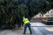 Rockefeller Christmas Tree is Delivered and Raised