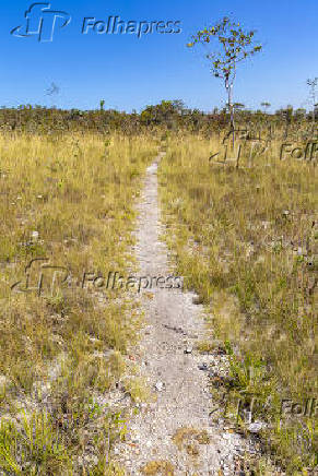 Trilha em meio ao cerrado no Parque Nacional da Chapada dos Veadeiros (GO)