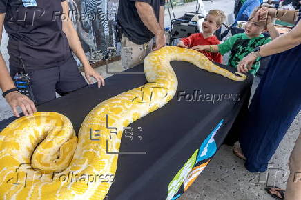 Ivory surrender event to encourage public to save elephants